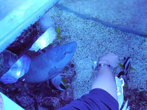 Photo_7