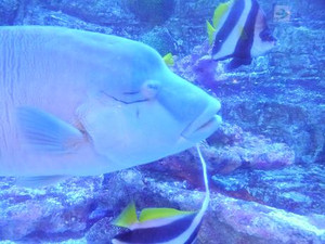 Photo_8