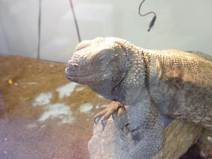 Photo_9