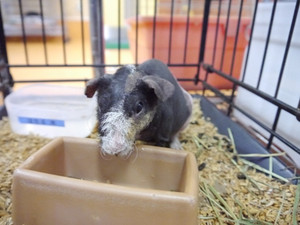 Photo_2