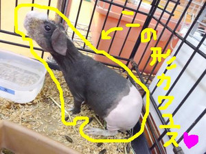 Photo_3