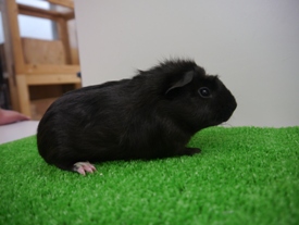 Photo_11