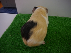 Photo_15