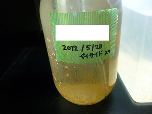 Photo_6