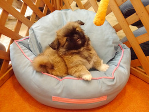 Photo_3
