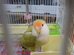 Photo_10