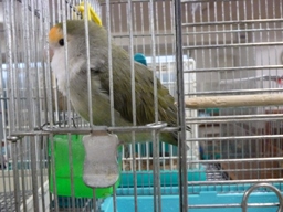 Photo_14