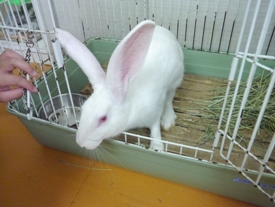 Photo_5