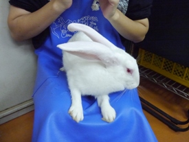 Photo_6