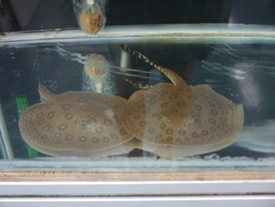 Photo_10