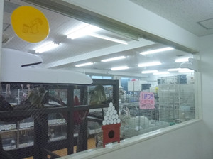P1130017_3