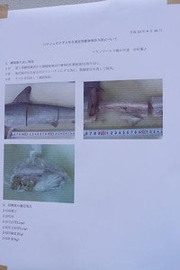 Photo_14