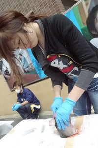 Photo_9