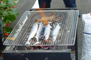 Photo_4