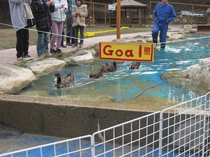 Photo_2