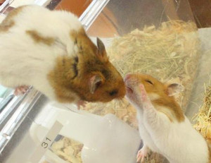 Photo_2