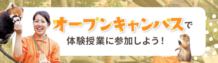 オープンキャンパスで体験授業に参加しよう！