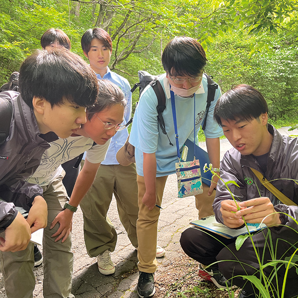 野草を観察する学生たち