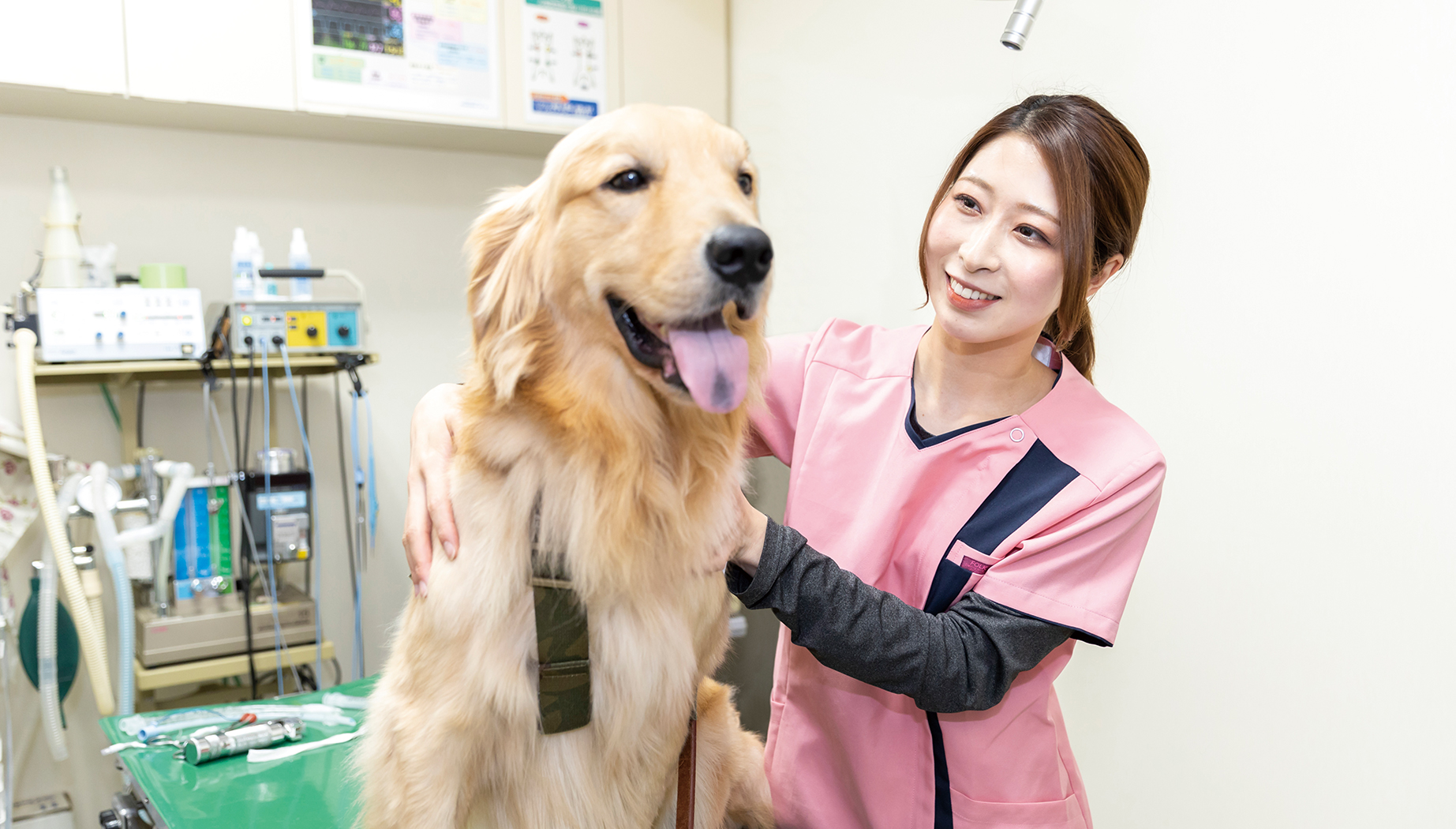 診察台の上の犬の様子を見る動物看護師