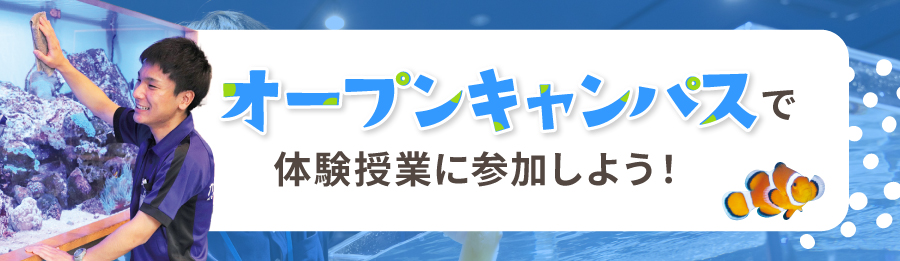 オープンキャンパスで体験授業に参加しよう！