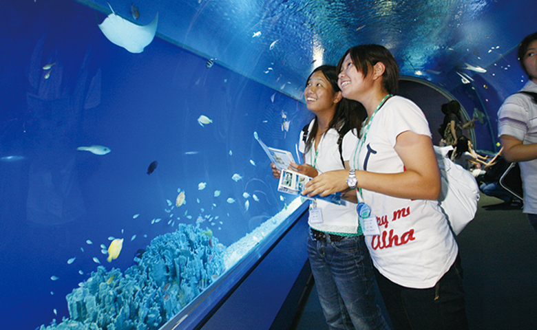 水槽トンネルの中で魚を見る学生たち