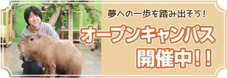 動物園 動物飼育専攻 福岡eco動物海洋専門学校