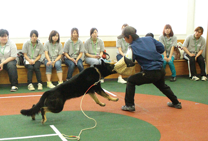 警察犬トレーニング