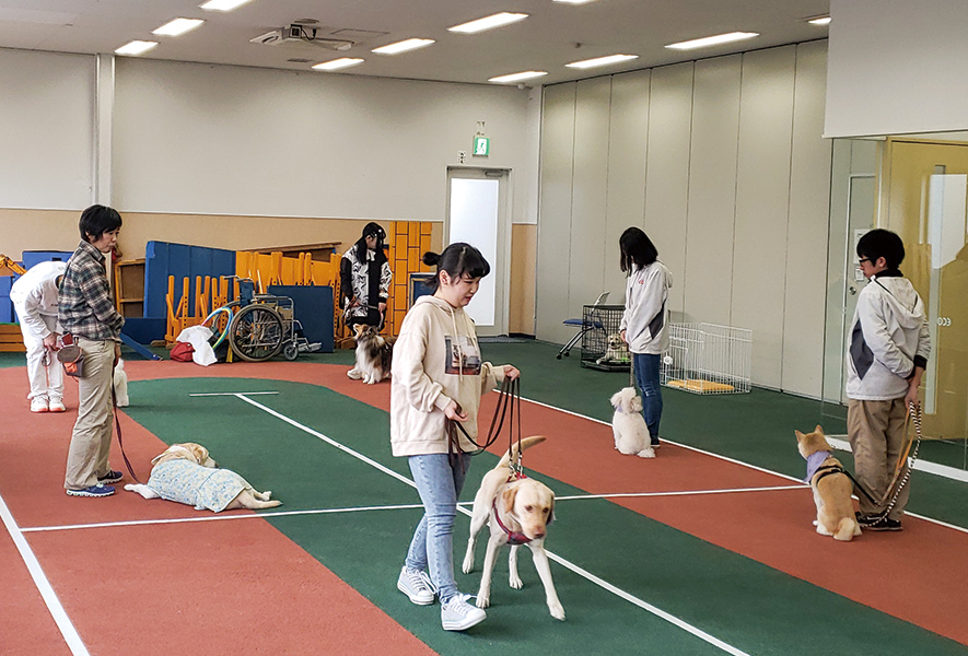 補助犬トレーニング