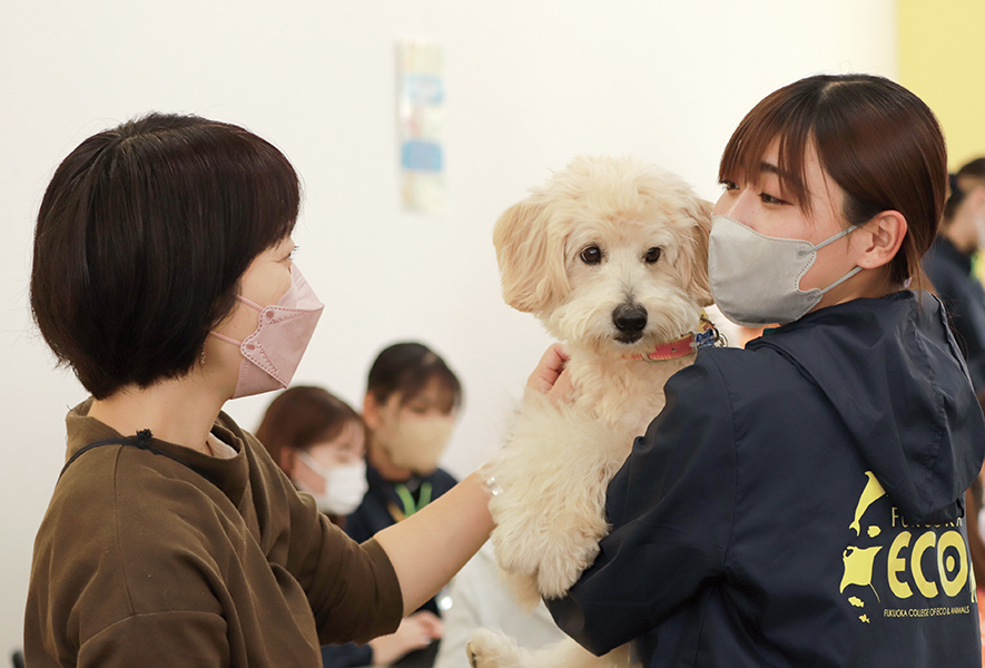 犬を抱く女性