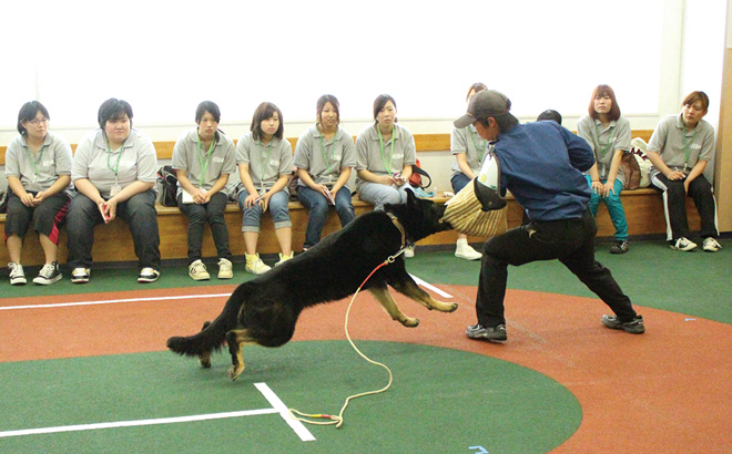 警察犬トレーニング