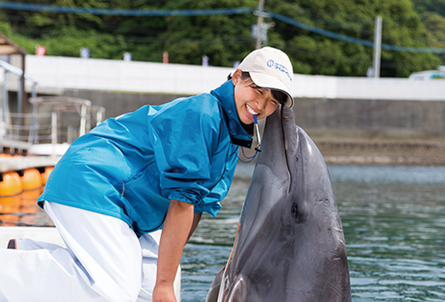 イルカとドルフィントレーナー