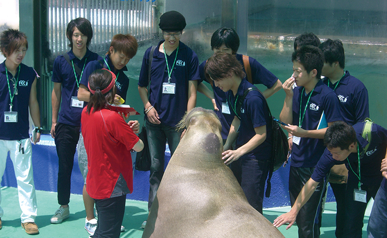 オットセイとトレーナー、学生たち