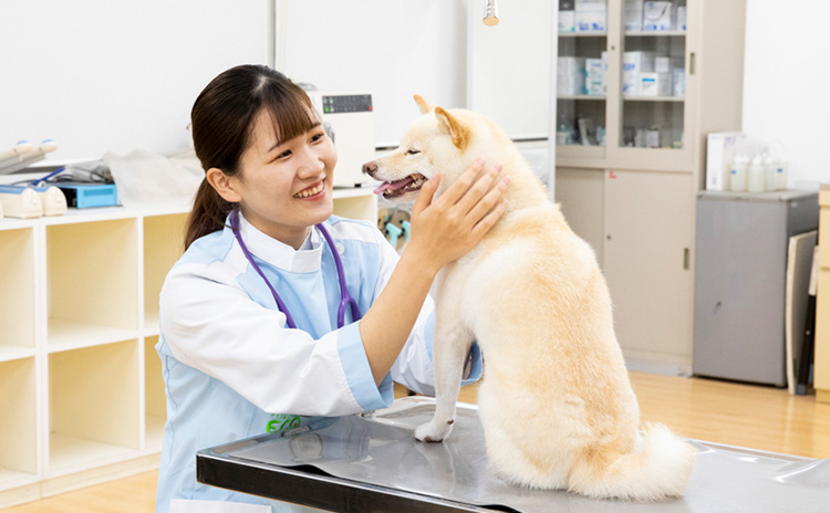 動物看護師＆ペットスペシャリスト専攻