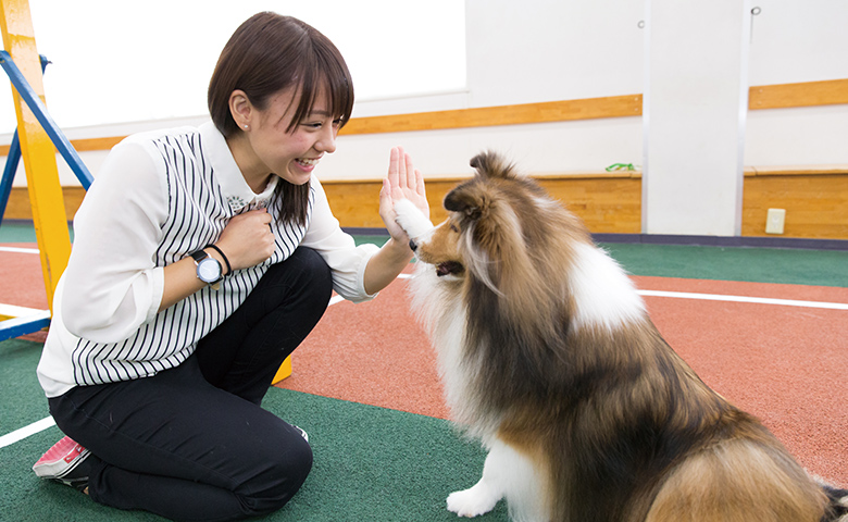 両生爬虫類