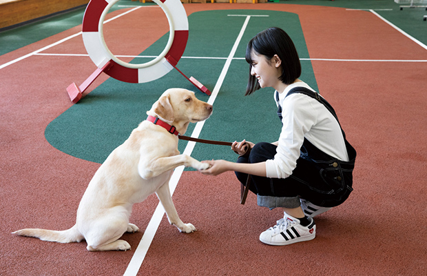 犬のトレーニングをする学生
