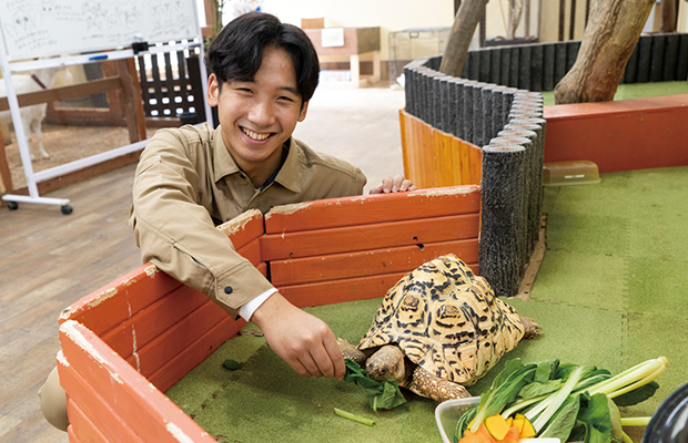 亀に餌をあげる学生