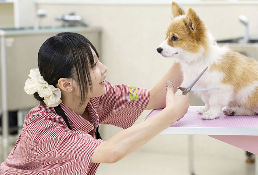 犬をなでる女性