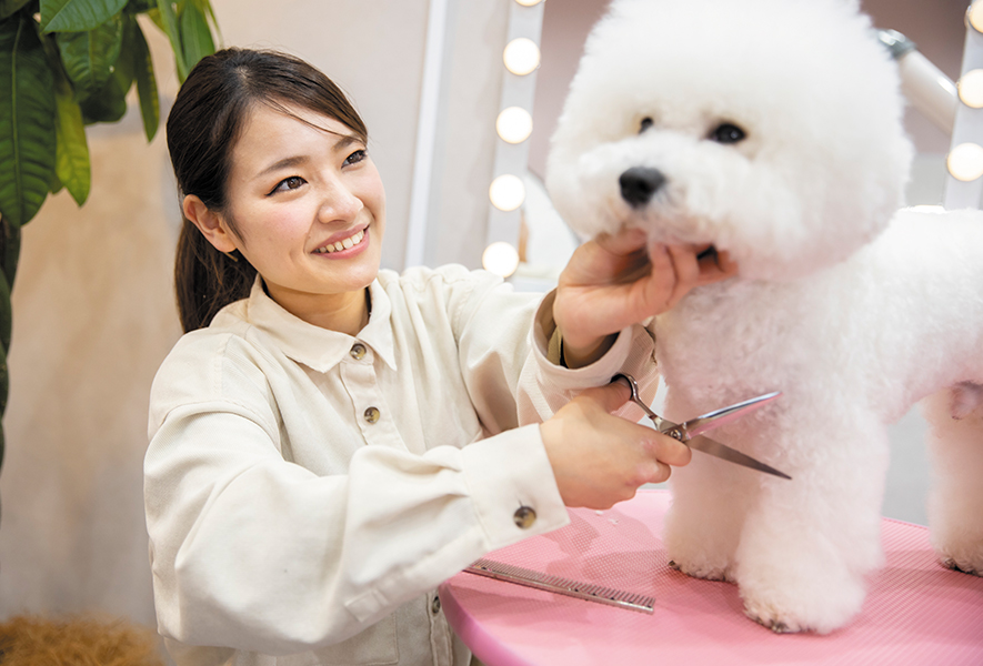 犬をトリミングする女性