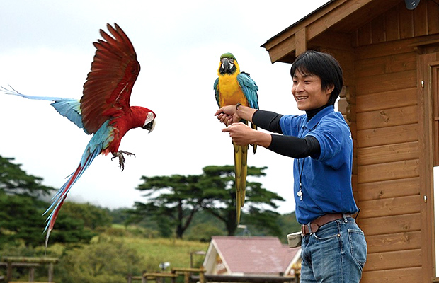 カラフルな鳥を腕にとまらせている飼育員