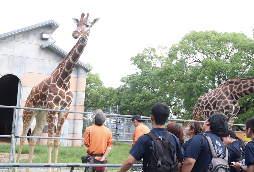 動物園でキリンを見る学生たち