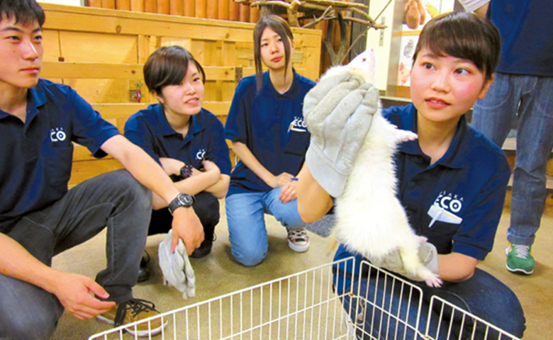 動物園飼育演習