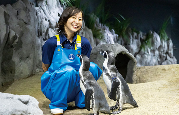 ペンギンの世話をする女性