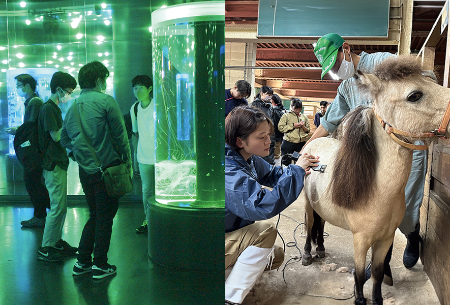 水族館を見学する学生達、動物の毛を刈る飼育員