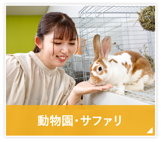 動物園・サファリ