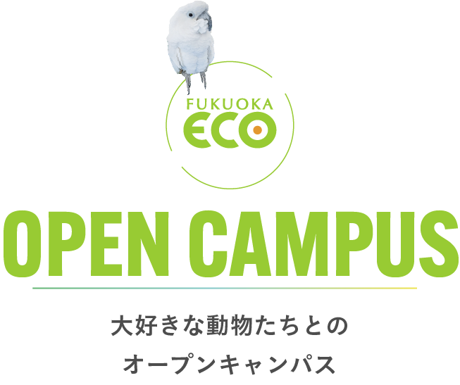 大好きな動物たちとのオープンキャンパス