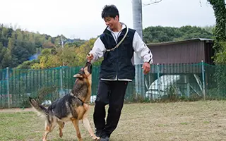 警察犬訓練士