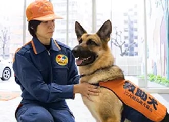 災害救助犬訓練士