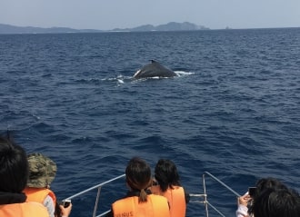 海洋生物調査員