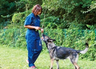 警察犬訓練士