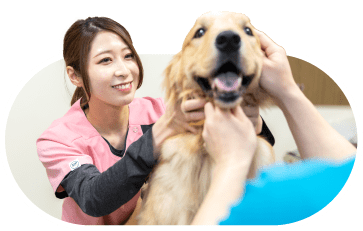 犬を触る学生